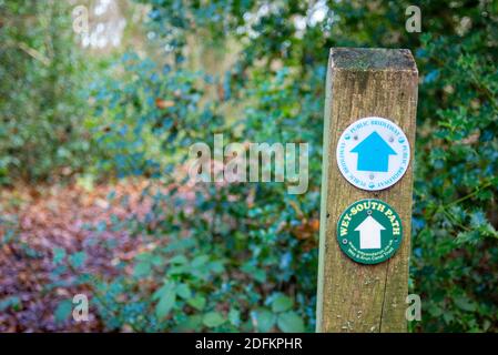 Teil des öffentlichen Wey South Path-Fußweges durch das Naturschutzgebiet Fir Tree Copse. Surrey Wildlife Trust, Chiddingfold Forest, SSSI. Wegmarkierungsstift Stockfoto