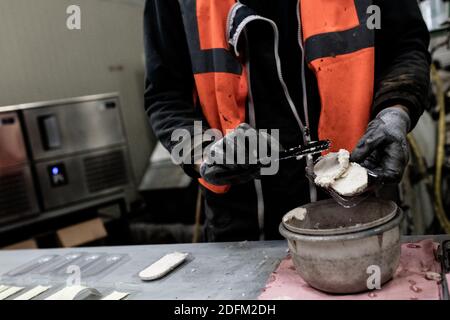 Ein Mann sammelt einen gemischten Kitt aus Zuckerrüben auf der ITB (Technical Institute of the Beetroot) Testanlage. Laon, Frankreich, 20. Oktober 2020. Foto von Daniel Derajinski/ABACAPRESS.COM Stockfoto