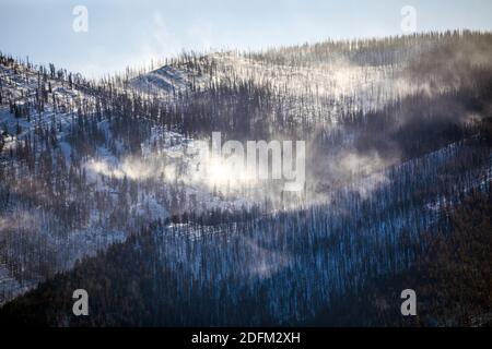 Tote Bäume vom Waldbrand verwüstet; Wind weht Schnee; Methodist Mountain (11,707' Höhe) in der Nähe von Salida, Colorado, USA Stockfoto