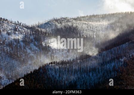 Tote Bäume vom Waldbrand verwüstet; Wind weht Schnee; Methodist Mountain (11,707' Höhe) in der Nähe von Salida, Colorado, USA Stockfoto