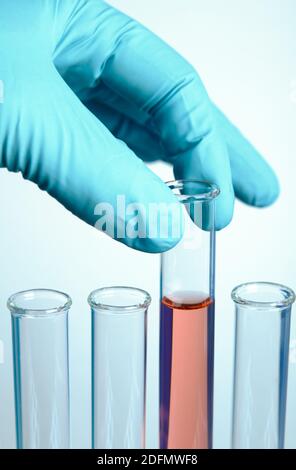 Reagenzgläser. Nitril-Handgelenkaufzug nimmt ein Reagenzglas mit roter Lösung aus mehreren leeren Reagenzgläsern auf. Stockfoto