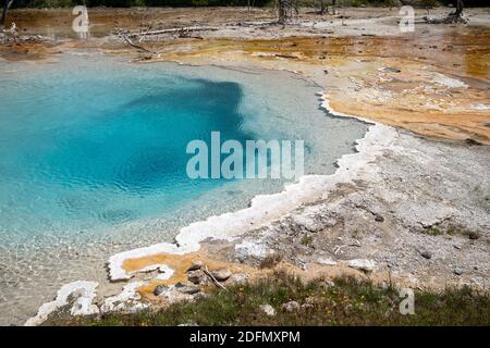 Silex Spring, in der Geysir-Gegend von Fountain Paint Pots im Yellowstone National Park Stockfoto