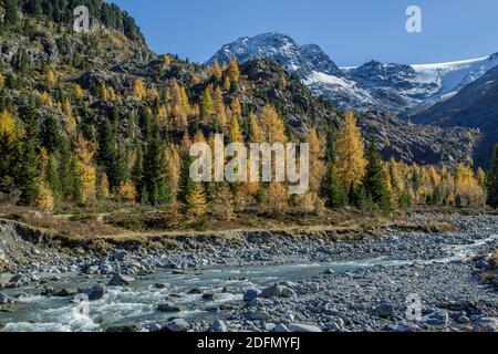 Ferner Garten, Landschaft im Kaunertal, Österreich Stockfoto