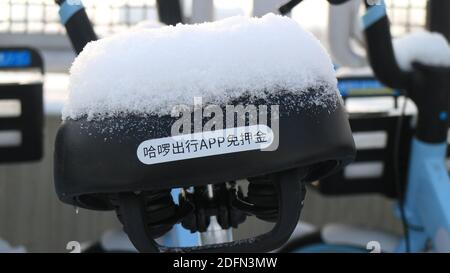 Yinchuan, China. Dezember 2020. Ansicht eines Alipay-Anwendungslogos auf einem mobike (Station-less Fahrrad-Sharing-System mit Sitz in Peking) bedeckt von Schnee Kredit: SOPA Images Limited / Alamy Live News Stockfoto