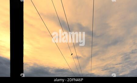 Parallel Stromleitungen trifft sich im Horizont Abendfoto Stockfoto