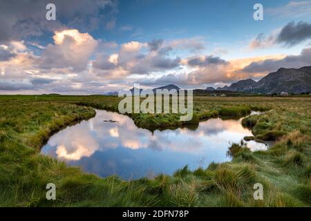 Flusslauf mit Bergen bei Fredvang, Lofoten, Norwegen Stockfoto