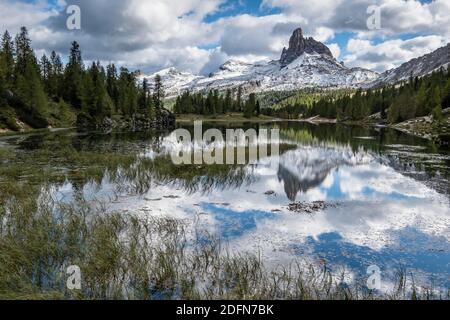 Monte Pelmo spiegelt sich im Bergsee Lago Federa, Dolomiten, Provinz Trentino, Italien Stockfoto