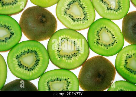 In Scheiben geschnittene Stachelbeere ( Actinidia chinensis, Actinidia), Kiwi-Frucht Stockfoto