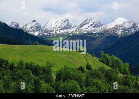 Churfirsten, Blick von Neu St. Johann, Toggenburg, St. Gallen, Schweiz Stockfoto