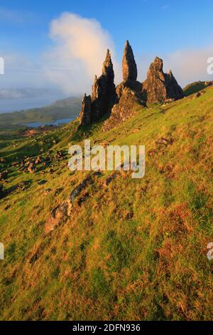 Alter Mann von Storr, Isle of Skye, Schottland, Großbritannien Stockfoto