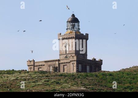 Leuchtturm auf Isle of May, Schottland, Großbritannien Stockfoto