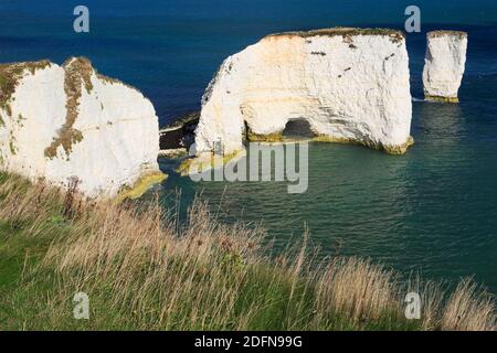 Old Harry Rocks, Swanage Bay, Chalk Cliff Coast, Bournemouth, Jurassic Coast World Heritage Site, Dorset, England, Vereinigtes Königreich Stockfoto