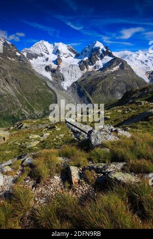 Piz Bernina, 4049 m, Bianco Grat, Piz Roseg, 3937 m, Blick von Fuorcla Surlej, Graubünden, Schweiz Stockfoto