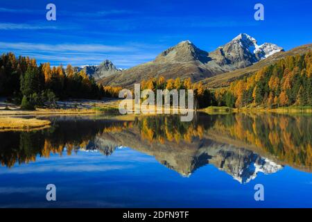 Lej da Staz, Oberengadin, Graubünden, Schweiz Stockfoto