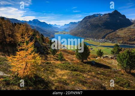 Silvaplaner See und Silsersee, Oberengadin, Graubünden, Schweiz Stockfoto