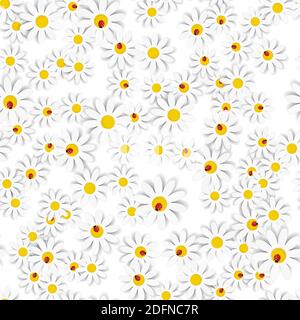 Flora Daisy Design Hintergrund. Nahtloses Muster. Vektordarstellung. Stock Vektor