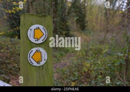 A Shropshire County Council öffentlichen Fußweg weg Marker in a Shropshire Woodland Stockfoto