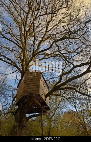Ein Haus gebaut Baumhaus in einem Shropshire Garten Stockfoto