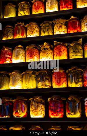 Ein vertikaler Hintergrund von Regalen, auf denen sich Glasgefäße mit Gemüsekonserven befinden. Reihen von hellen Gurken Rote Beete Rüben Pfeffer Karotten Gurken. Stockfoto