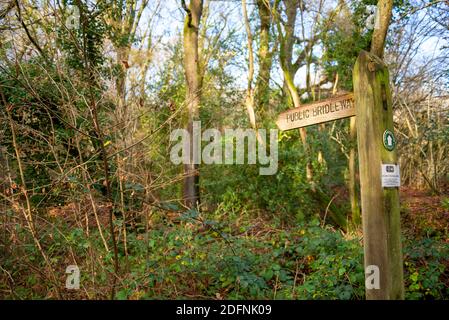 Teil des öffentlichen Wey South Path-Fußweges durch das Naturschutzgebiet Fir Tree Copse. Surrey Wildlife Trust, Chiddingfold Forest, SSSI. Öffentliche Brücke Stockfoto