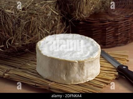 Brillat Savarin, französischer Käse, der mit Kuhmilch Stockfoto