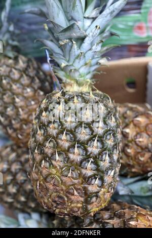 Blick auf Ananas auf dem asiatischen Markt Stockfoto