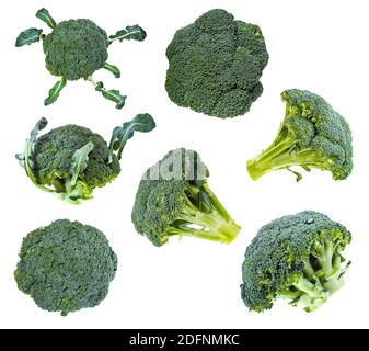 Sammlung von frischen grünen Broccoli isoliert auf weißem Hintergrund Stockfoto