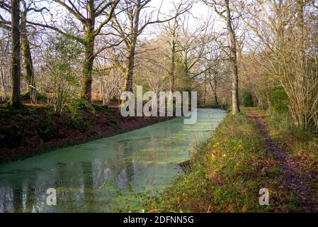 Abschnitt des Wey- und Arun-Kanals nur mit kleinen Booten befahrbar. Nicht mit navigierbaren Abschnitten verbunden. Towpath ist Teil des Wey South Path öffentlichen Pfad Stockfoto