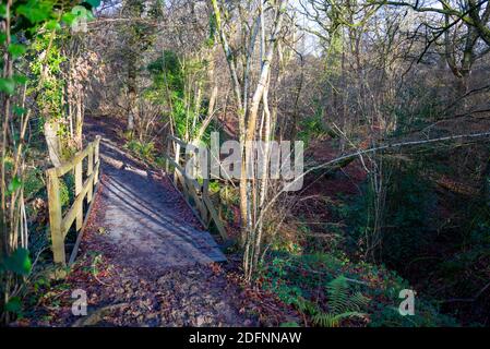 Teil des öffentlichen Wey South Path-Fußweges durch das Naturschutzgebiet Fir Tree Copse. Surrey Wildlife Trust, Chiddingfold Forest, SSSI. Waldgebiet Stockfoto