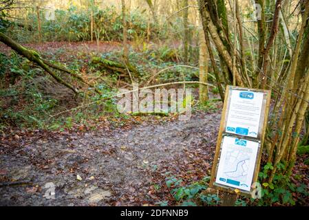 Teil des öffentlichen Wey South Path-Fußweges durch das Naturschutzgebiet Fir Tree Copse. Surrey Wildlife Trust, Chiddingfold Forest, SSSI. Waldgebiet Stockfoto