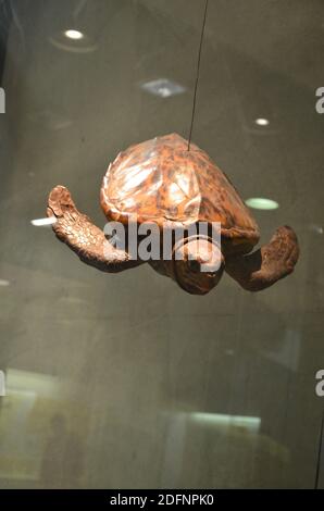 Innenansicht des Senckenberg Museums in Frankfurt Stockfoto