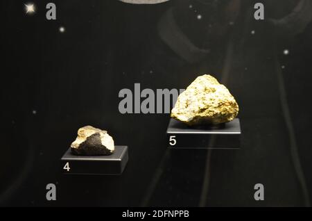 Innenansicht des Senckenberg Museums in Frankfurt Stockfoto