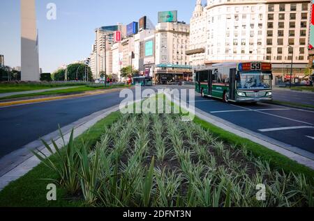 Buenos Aires, Argentinien - Januar, 2020: Buslinie 59 fährt in der Nähe von Obelisco de Buenos Aires - Obelisk von Buenos Aires - auf der weltweit breitesten Straße Avenid