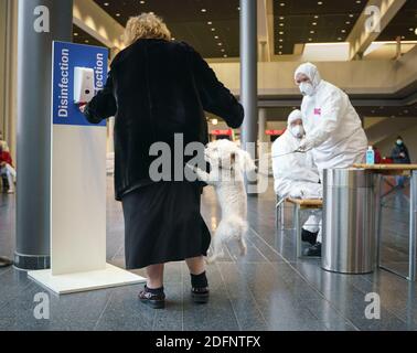 06. Dezember 2020, Hessen, Frankfurt/Main: Ein Hund springt auf seinen Besitzer (l), während dieser eine Ausstellungshalle betritt, die während der Evakuierung eines Wohngebiets als Aufenthaltsraum eingerichtet wurde. Am Donnerstag (03.12.) wurde in der Nähe eine 500 Kilogramm schwere Bombe aus dem Zweiten Weltkrieg gefunden, die im Laufe des Tages entschärft werden soll. Aufgrund der Menge an Sprengstoff und der Konstruktion der britischen Bombe war ein großer Evakuierungsradius notwendig. Foto: Frank Rumpenhorst/dpa Stockfoto