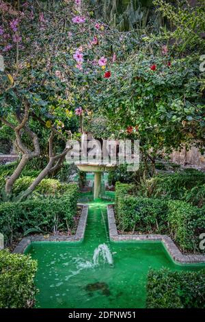 Üppige Gärten mit antiken Brunnen auf einem öffentlichen Platz neben der Kathedrale von Malaga, Costa del Sol, Andalusien, Spanien Stockfoto