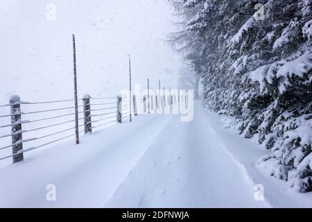 Gefrorene Landstraße in den österreichischen alpen bei starkem Schneesturm mit Schnee bedeckt (Filzmoos, Salzburger Land) Stockfoto