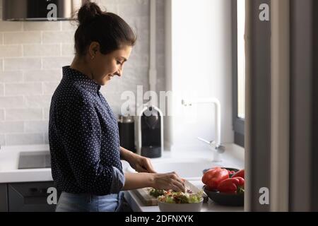 Happy hindu Lady vegan geschnitten Salat zum Mittagessen mit Vergnügen Stockfoto