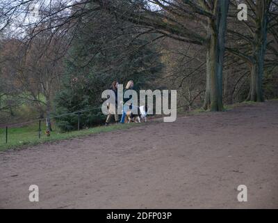 Soziale Distanzierung. Covid-19. Winter. Kenwood House, Hampstead Heath, London. Herrschaftliches Haus. Parkland Lakes, Woodland, Heathland, Wanderer, Besucher. Stockfoto