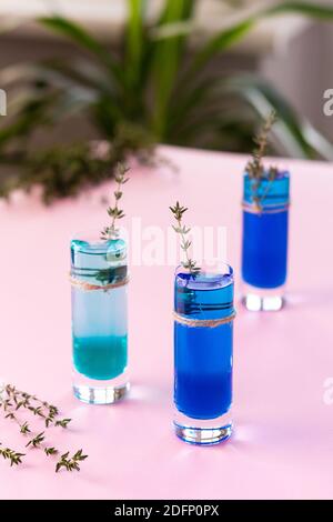 Blaue und grüne alkoholische Schüsse mit einem Zweig von Thymian verziert, Schnapsgläser mit farbigen Schnaps auf rosa Hintergrund Stockfoto