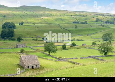 Cotterdale, Yorkshire Dales National Park, York, England - EIN Blick auf eine alte Steinscheune, Schafe und die hügelige Landschaft der Yorkshire Dales. Stockfoto