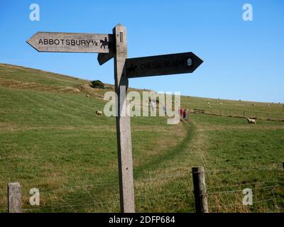 Öffentlicher Fußweg in der Nähe von Abbotsbury, Dorset. Stockfoto