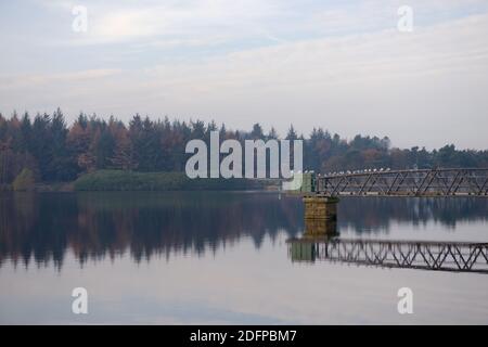 Herbst Nadelbaum Wald im Wasser der redmires Reservoirs reflektiert. Schar von Seeschwalben und Möwen ruhen sich auf einem industriellen Metallsteg aus. Stockfoto