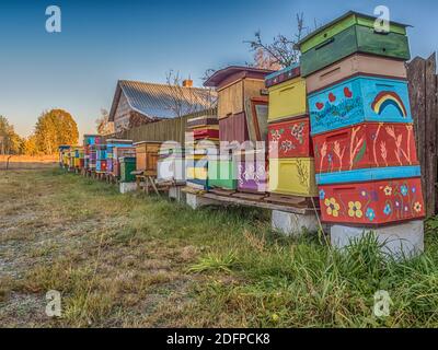 Eine Reihe von Vintage, Holz, handgemachten, bunten Bienenstöcken auf einem Feld neben dem Wald. Polen im Herbst. Stockfoto