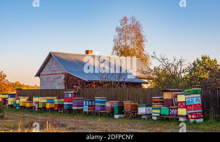 Eine Reihe von Vintage, Holz, handgemachten, bunten Bienenstöcken auf einem Feld neben dem Wald. Polen im Herbst. Stockfoto