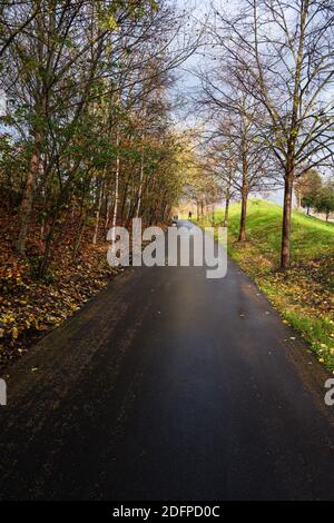 London, UK : December 2020 :ein leerer Pfad gesäumt von Bäumen in den Northern Parklands, Queen Elizabeth Olympic Park Stockfoto