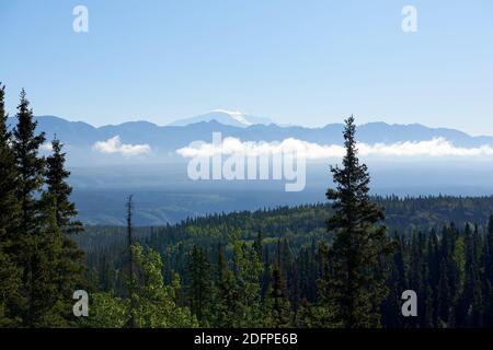 Blick vom Liberty Falls Trail über bewaldete Hügel im Copper River Valley auf die Wrangell Mountains am Horizont. Stockfoto