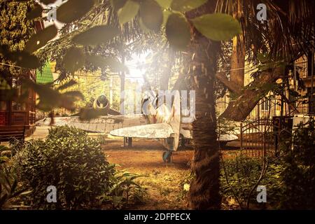 Altes abgestürztes Militärflugzeug im Dschungel. Stockfoto