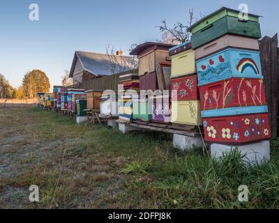 Eine Reihe von Vintage, Holz, handgemachten, bunten Bienenstöcken auf einem Feld neben dem Wald. Polen im Herbst. Stockfoto