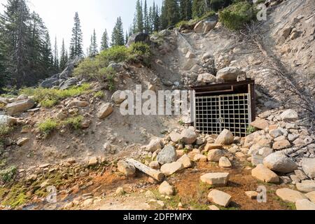 Elkhorn Mine Portal und Stollen, Coolidge Ghost Town, Beaverhead-Deerlodge National Forest, Montana, USA Stockfoto