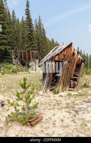 Überreste von Holzgebäuden bei der Elkhorn Mine, Coolidge Ghost Town, Beaverhead-Deerlodge National Forest, Montana, USA Stockfoto